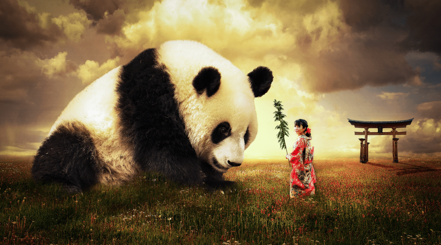 Panda spirit animal Souls Space